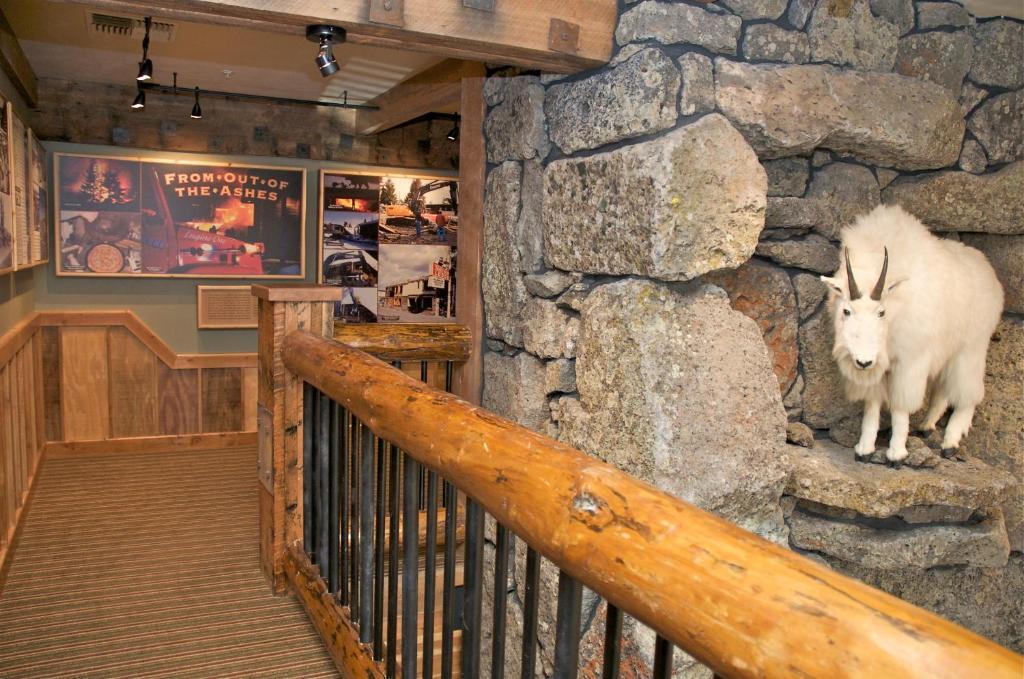 Three Bear Lodge West Yellowstone Εξωτερικό φωτογραφία