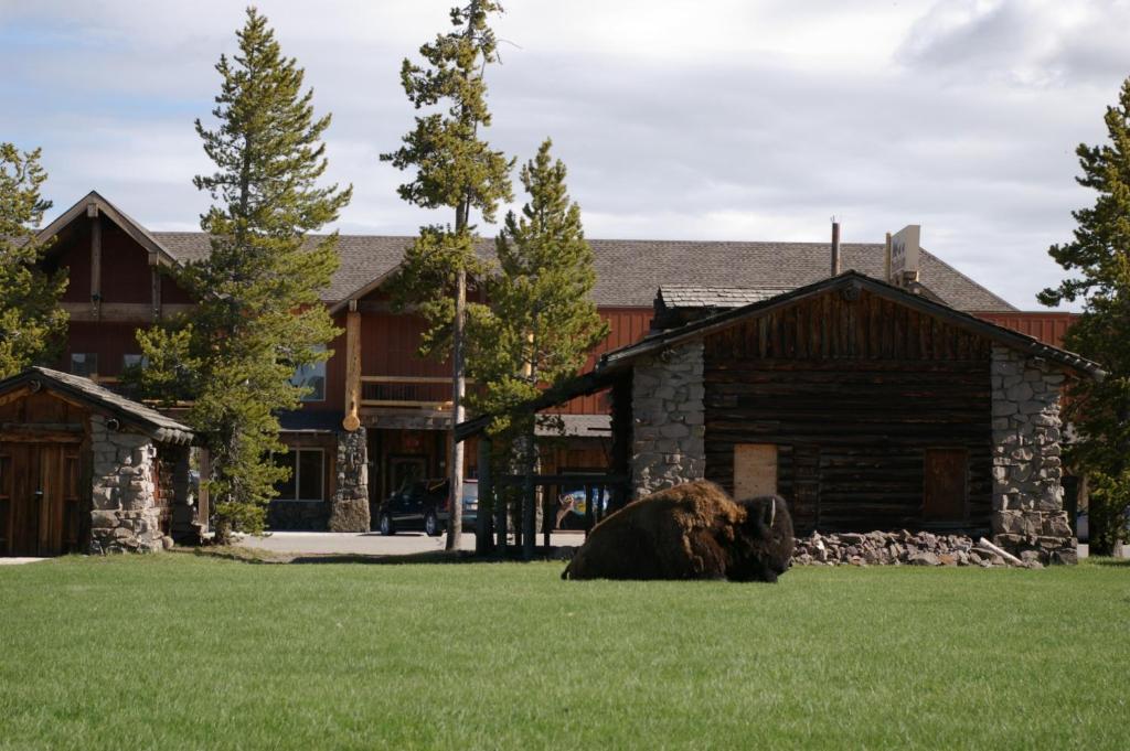 Three Bear Lodge West Yellowstone Εξωτερικό φωτογραφία