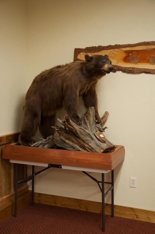 Three Bear Lodge West Yellowstone Εξωτερικό φωτογραφία